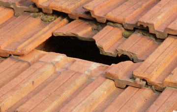 roof repair Brealeys, Devon